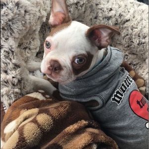 XS Mommy’s Little Man shirt